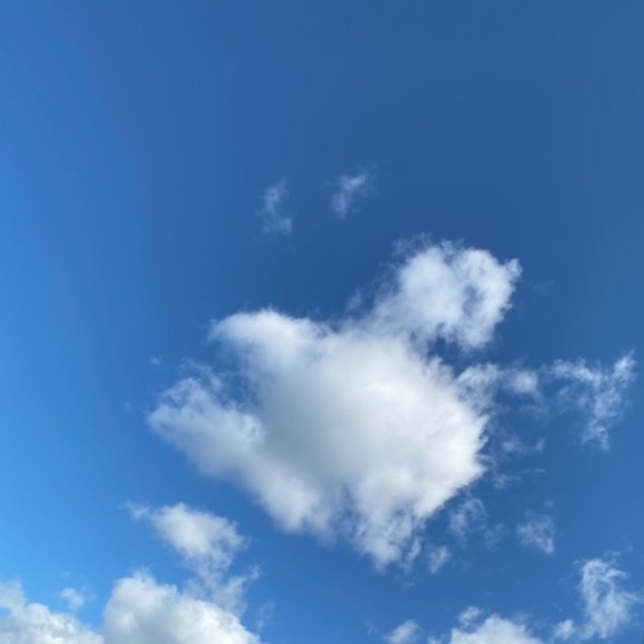 Meet your Posher, Rachel - Picture 1 of 1